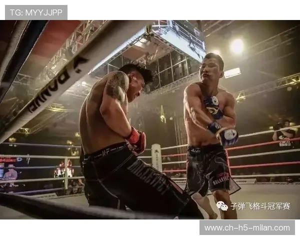 MMA赛事规则优化提升竞技观赏性